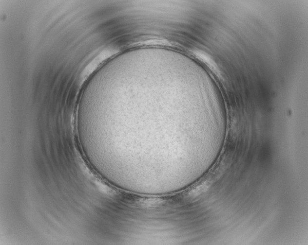 X0000088601282200706081343