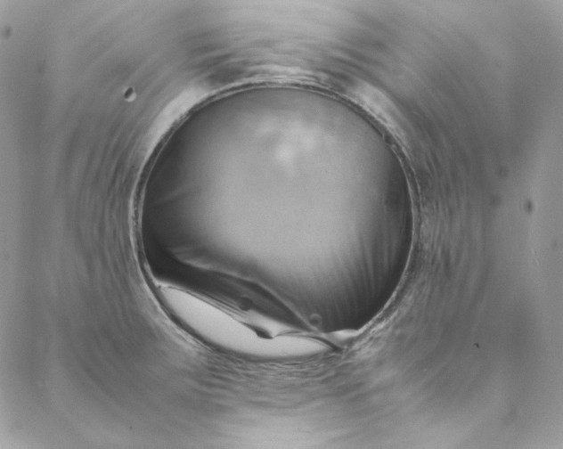 X0000088601283200706081343