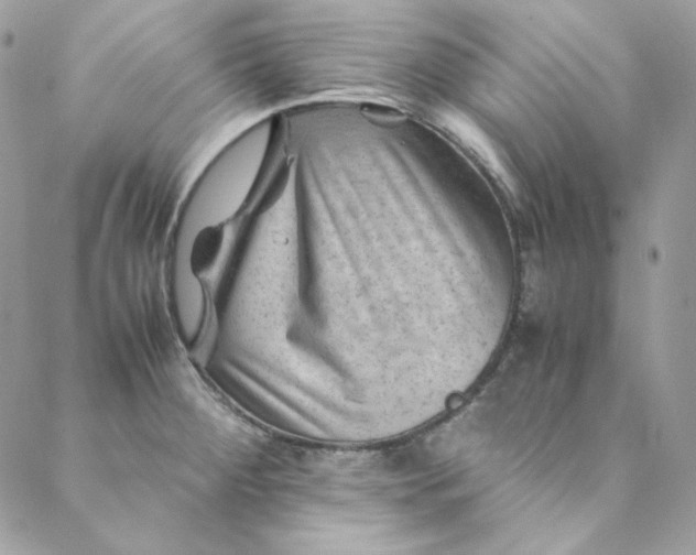 X0000088601284200706081343