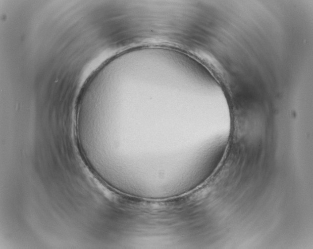 X0000088601286200706081343