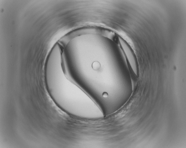 X0000088601287200706081343