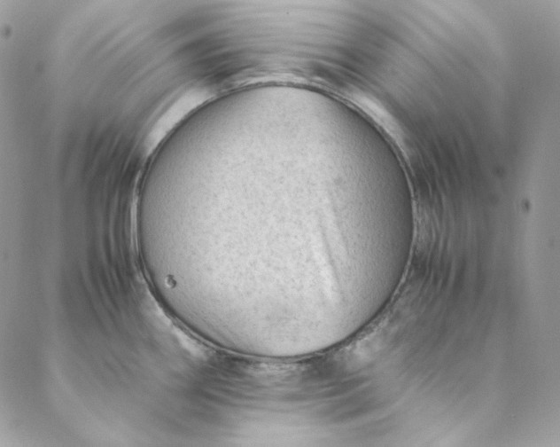 X0000088601290200706081343