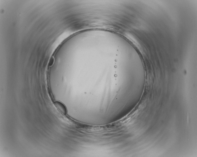 X0000088601291200706081343