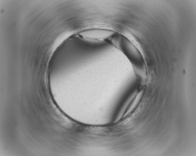 X0000088601293200706081343