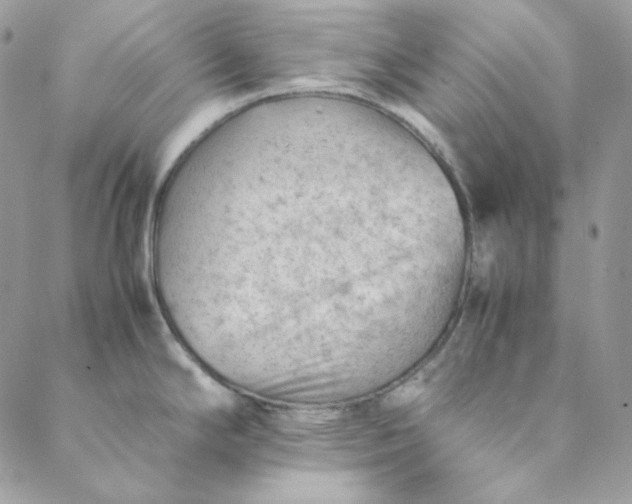 X0000088601294200706081343