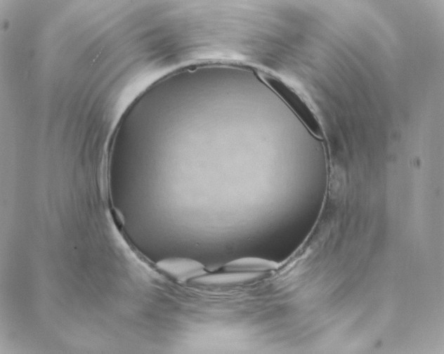 X0000088601295200706081343