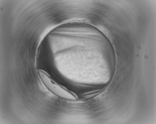 X0000088601296200706081343