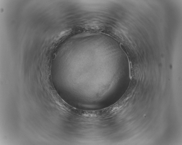 X0000088601297200706081342