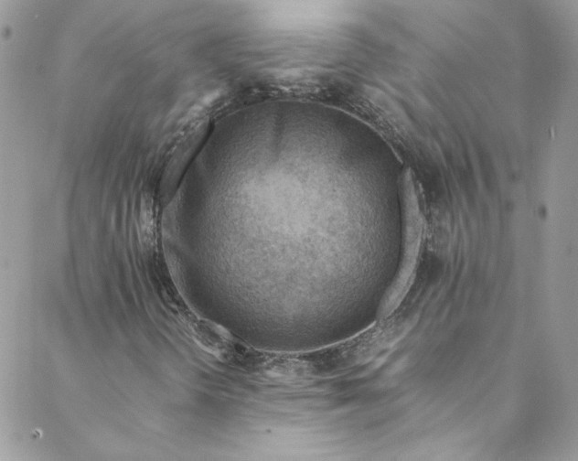 X0000088601298200706081342