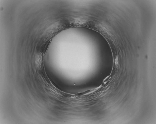 X0000088601299200706081342