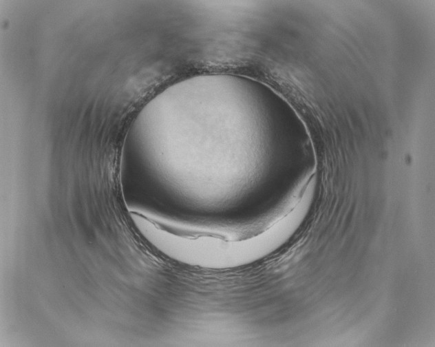 X0000088601300200706081342