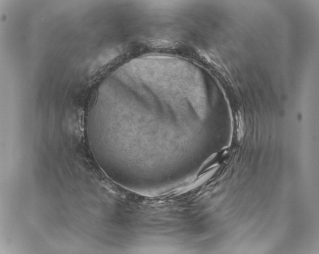 X0000088601301200706081342