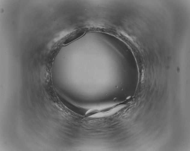 X0000088601303200706081342