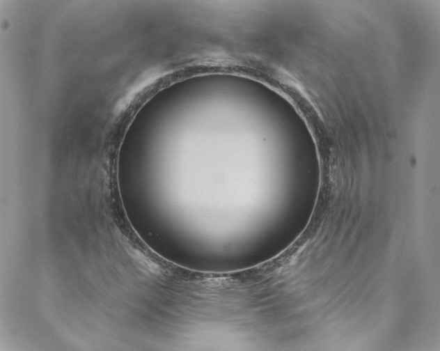 X0000088601304200706081342