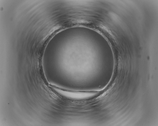 X0000088601305200706081342