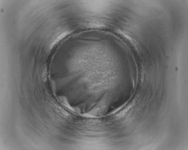 X0000088601306200706081342