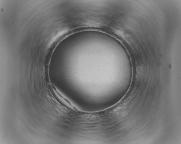 X0000088601307200706081343