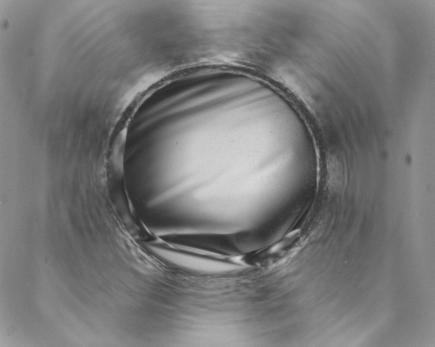 X0000088601308200706081343