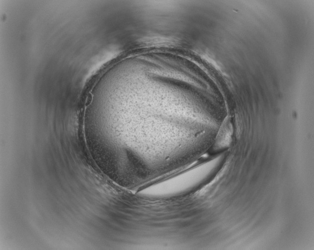 X0000088601309200706081343