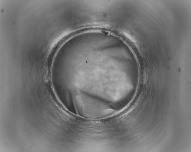 X0000088601310200706081343