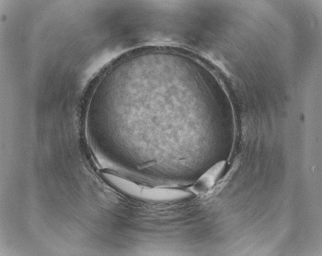 X0000088601311200706081343