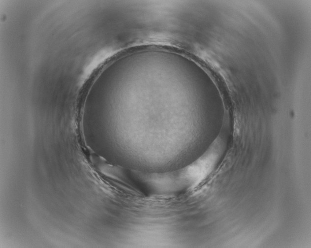 X0000088601312200706081343