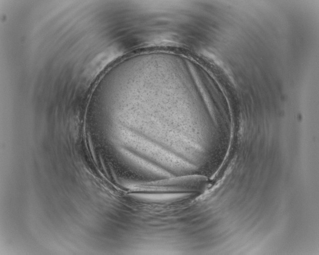 X0000088601313200706081343