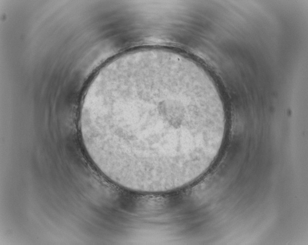 X0000088601314200706081343