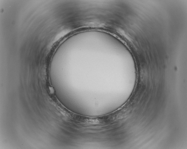 X0000088601315200706081343