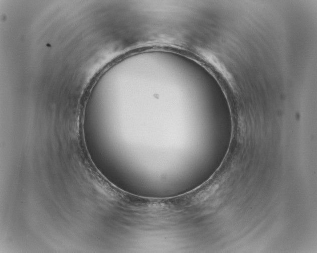 X0000088601316200706081343