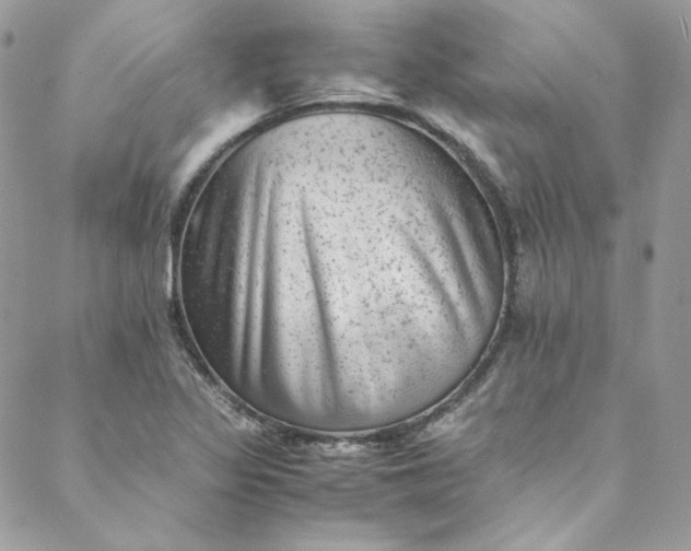 X0000088601317200706081343