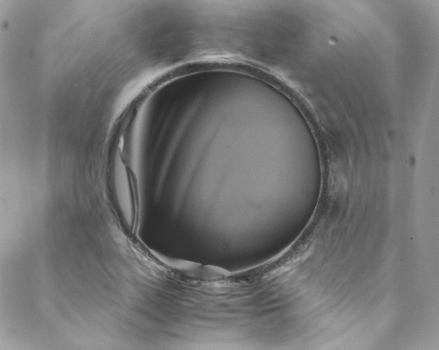 X0000088601319200706081343