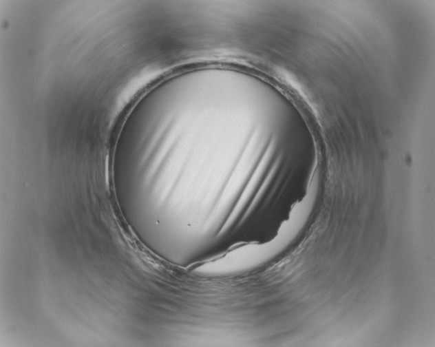 X0000088601320200706081343