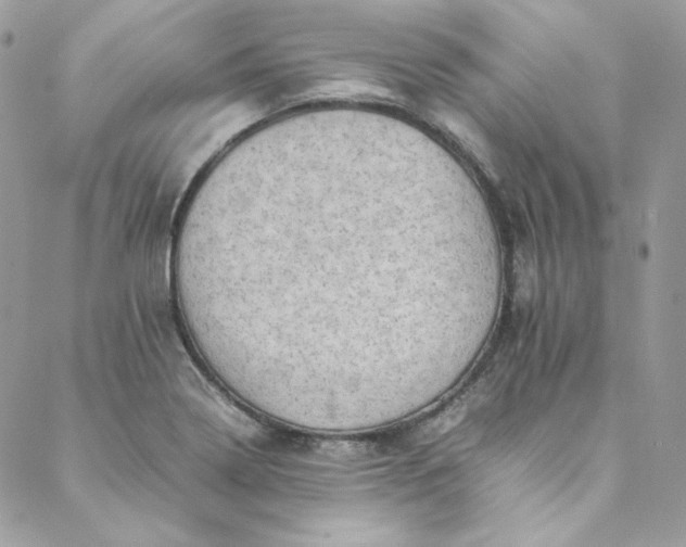 X0000088601322200706081343