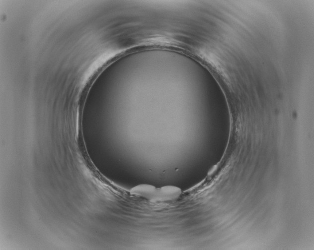 X0000088601323200706081343