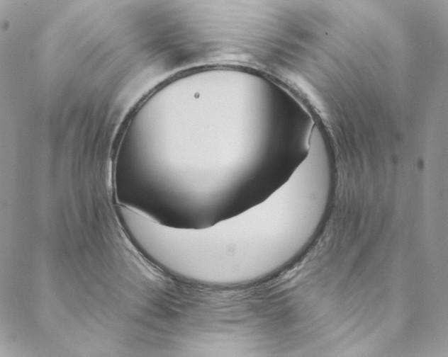 X0000088601324200706081343