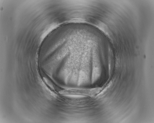 X0000088601325200706081343