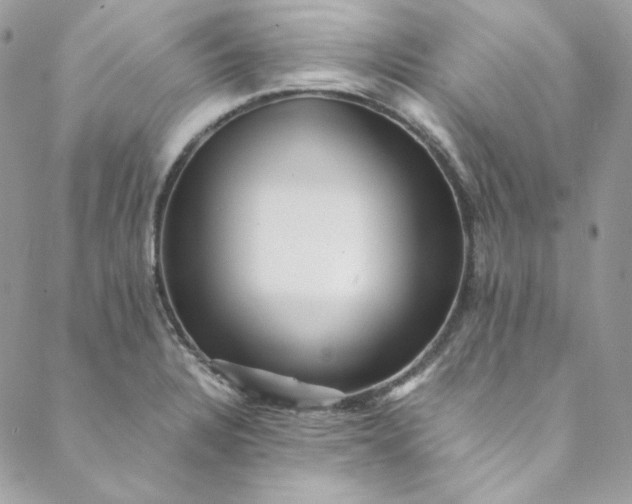 X0000088601328200706081343