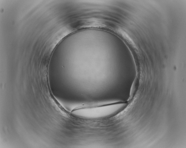 X0000088601329200706081343