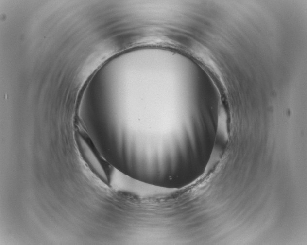 X0000088601330200706081343