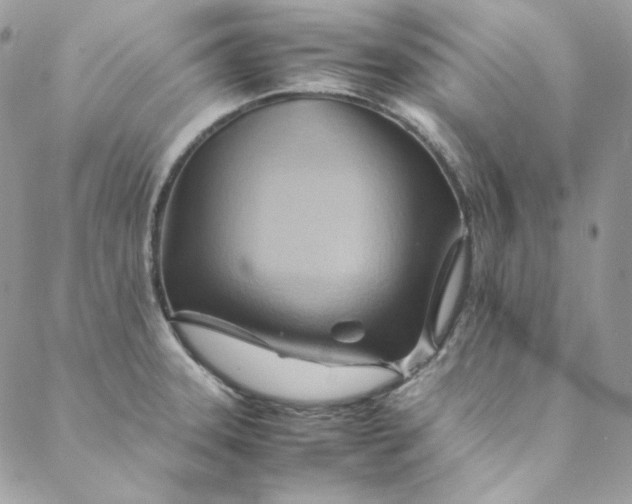 X0000088601331200706081343