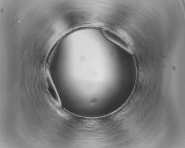 X0000088601332200706081343