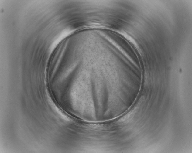 X0000088601333200706081343