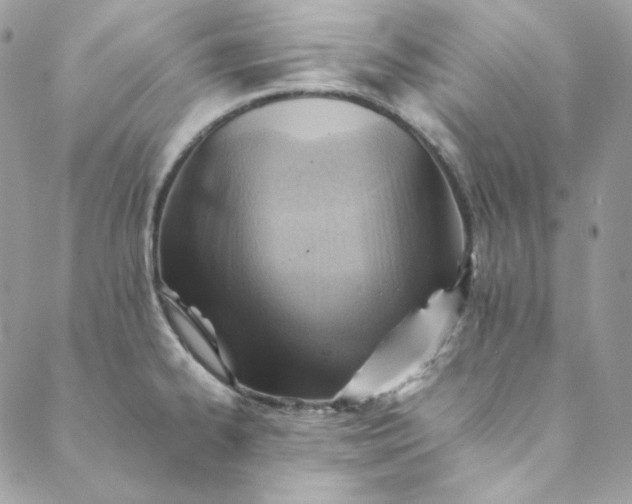 X0000088601334200706081343