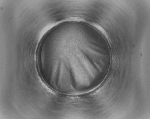 X0000088601335200706081343