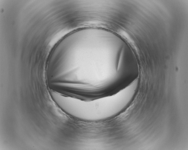 X0000088601336200706081343