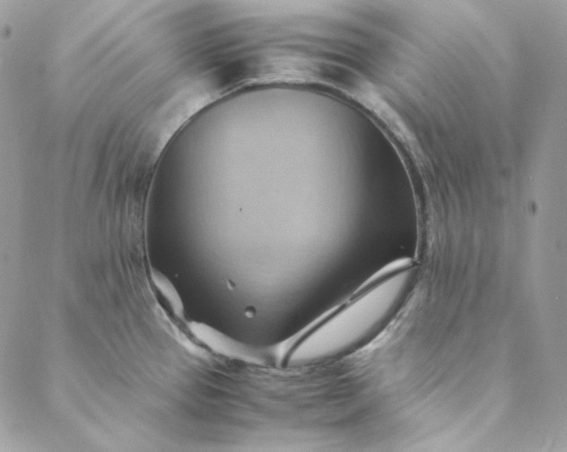 X0000088601337200706081343