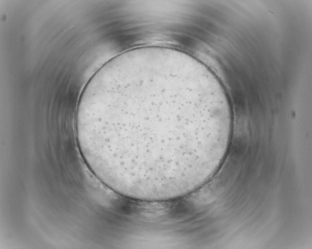 X0000088601338200706081343