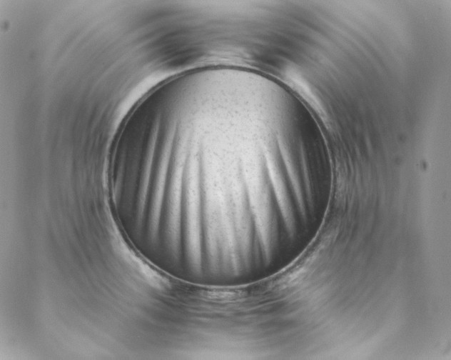 X0000088601339200706081343