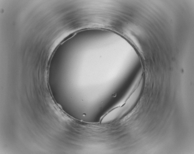 X0000088601340200706081343